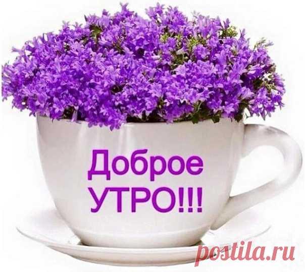 Доброе утро. Пусть новый день принесет новые радости, прекрасное настроение и счастье!