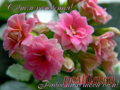 Радостного Дня Рождения