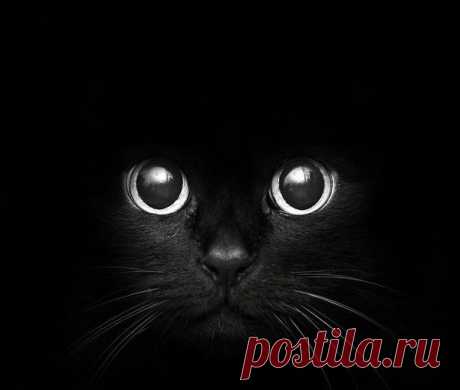 Мой Мир@Mail.Ru