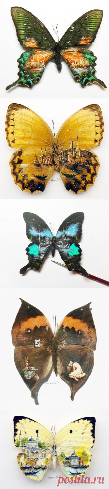 Такие художники, как Hasan Kale рождены, что бы удивлять людей. Нужно иметь очень хорошее зрение, огромное количество терпения и усидчивости и невероятно точную и крепкую руку. Крылья бабочки - очень хрупкое полотно для художника. Стоит сделать одно неверное движение и тончайшие крылышки окажутся непригодными.