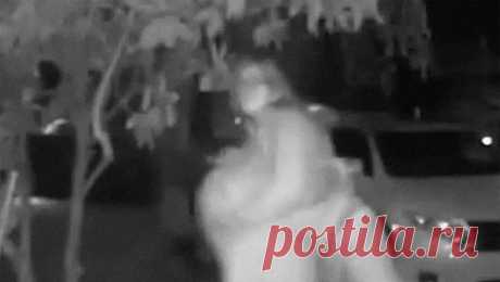Похищение женщины попало на камеру дверного звонка, и ее похитителя быстро поймали. В США похищение женщины попало на камеру дверного звонка. Об этом пишет Mirror. Инцидент, который зафиксировала камера видеонаблюдения, произошел 21 апреля в Портленде. Бородатый мужчина схватил женщину, та пыталась позвонить в дверь ...