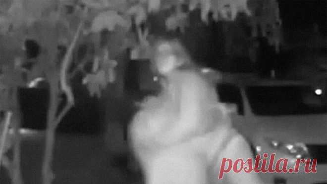 Похищение женщины попало на камеру дверного звонка, и ее похитителя быстро поймали. В США похищение женщины попало на камеру дверного звонка. Об этом пишет Mirror. Инцидент, который зафиксировала камера видеонаблюдения, произошел 21 апреля в Портленде. Бородатый мужчина схватил женщину, та пыталась позвонить в дверь ...