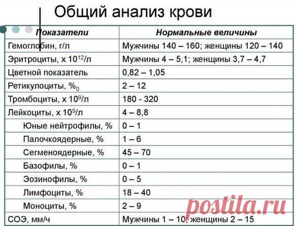 _FaEC0YeNis.jpg (583×445)