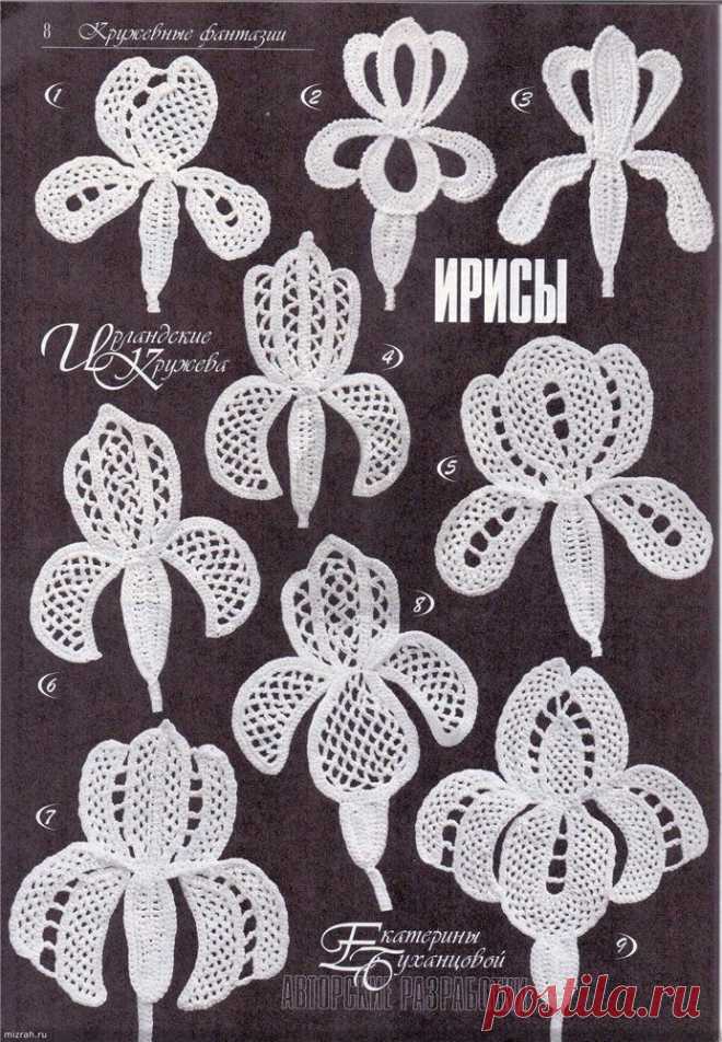 Ирисы. Ирландское кружево