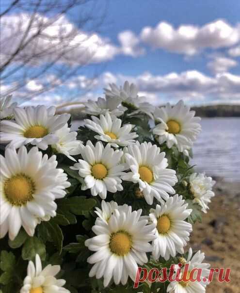 Живём мало... 
Больше переживаем.