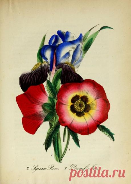 Найдено на сайте sisterwolf.tumblr.com.