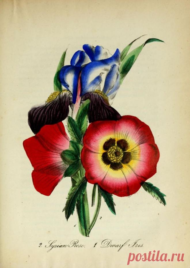 Найдено на сайте sisterwolf.tumblr.com.