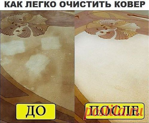 Чтобы сократить траты на средства для мытья ковров,
