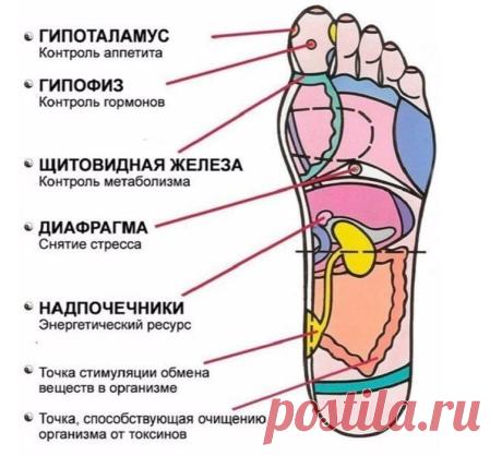 7 точек на стопе, которые вернут вам жизненную активность