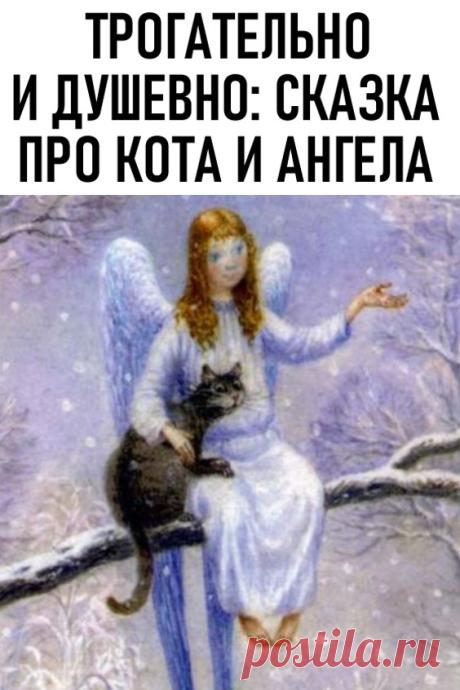 Трогательно и душевно: сказка про кота и ангела