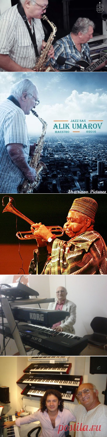 * * * * * * * * * * * *