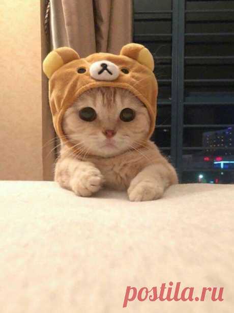 Pinterest