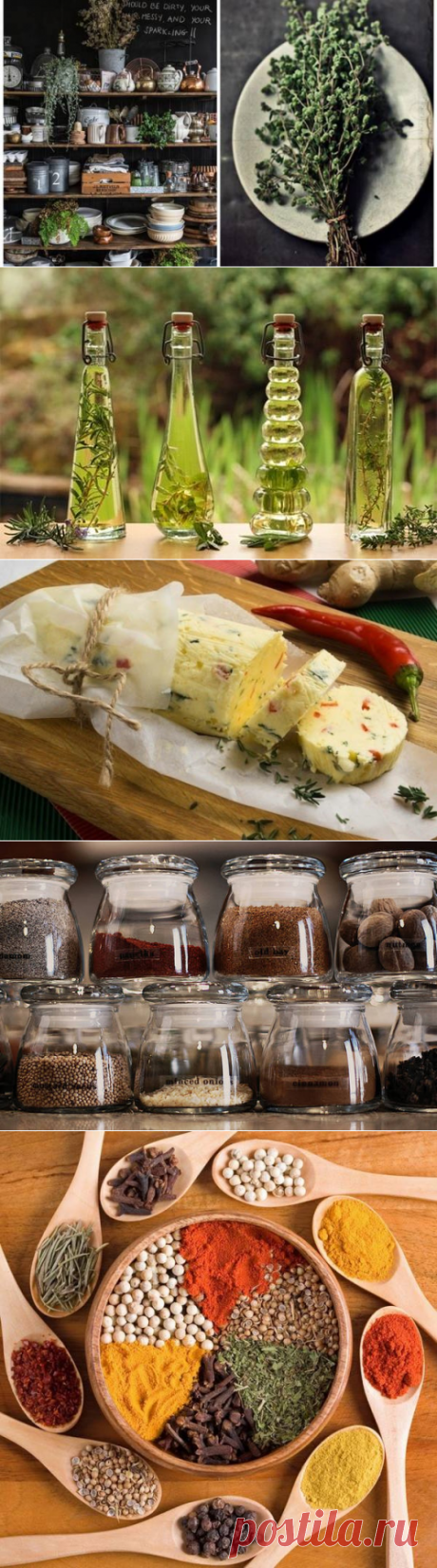 КАК ХРАНИТЬ ПРОДУКТЫ: СОВЕТЫ ИЗВЕСТНЫХ КУЛИНАРОВ.