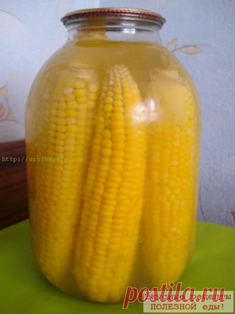 2 ЗАГОТОВКИ ИЗ КУКУРУЗЫ! ЗАГОТОВКА ИЗ КУКУРУЗНЫХ ПОЧАТКОВ ПО-БОЛГАРСКИ Небо...