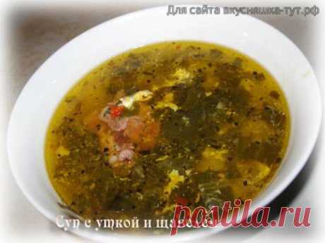Суп с уткой и щавелем в мультиварке - Готовим сами