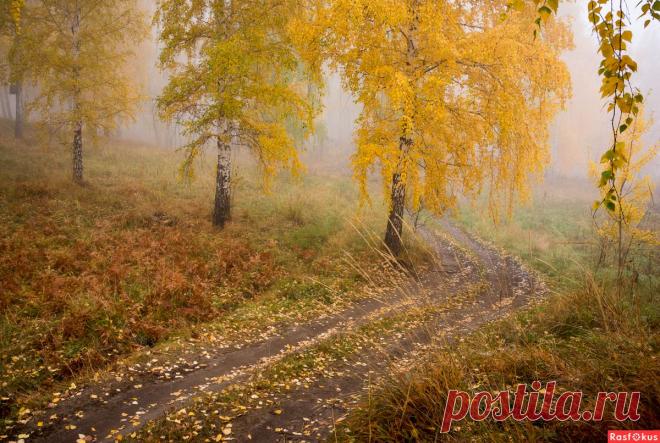 Фото: Природа. Любитель Фото Иго®Ь. Природа - Фото и фотограф на Расфокусе.