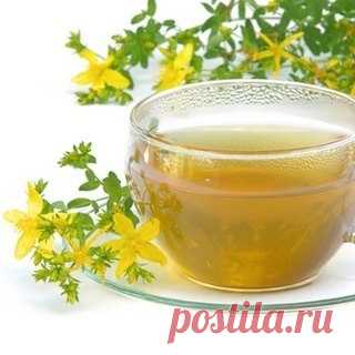Чудодейственный зверобой