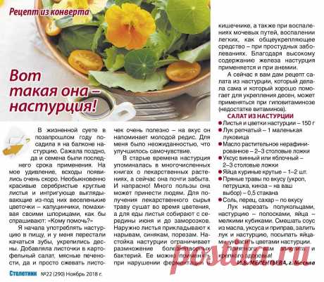 Настурция лечит. Салат с настурцией