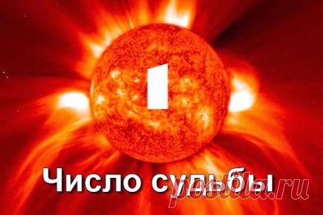 Число 1 как число судьбы в ведической нумерологии - Число 1 как число судьбы позволяет мужчинам, посвятившим себя работе в какой-либо организации занимать руководящие посты. Если же мужчина выбрал политическую карьеру, то имея властный и амбициозный характер, благодаря влиянию Солнца, добиваются грандиозных успехов. Политическая деятельность таких людей, как правило, будет направлена на улучшение жизненных условий их избирателей. В бизнесе единицы достигают хороших результатов уже к сорока