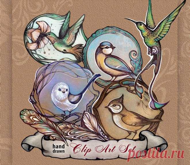 Birds and Feathers PNG vintage clip art set for Scrapbooking | Etsy