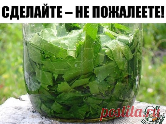 Лечебные свойства и рецепты из листьев хрена. 
Листья хрена вытянут соль. Растирка из листьев хрена помогла при болях в спине и суставах. 
СДЕЛАЙТЕ – НЕ ПОЖАЛЕЕТЕ! 
Сейчас самое время избавиться от всей соли, 
которая накопилась в организме и может привести к солевым болезненным отложениям. Напоминаю проверенный и безотказный рецепт. 
Возьмите свежие крупные листья хрена – 2 шт. Перед сном окуните их с двух сторон кипяток и сразу положите на спину, захватывая шею. Обвяжите тканью. Возможно л