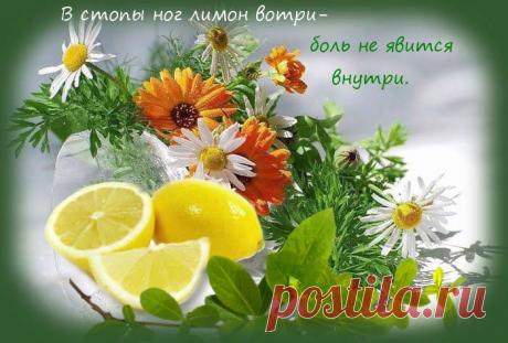 Воду пей перед едой – будешь долго молодой!
Коже рук вернёт былое сок чесночный и алоэ. Гепатиту гибель дарят корни ревеня в отваре. Чем старее мужичок, тем важней ему лучок! Вену видно изнутри – уксус яблочный вотри. Натощак зуб чеснока – сутки вирус в дураках. Мёд, лимоны и чеснок одышку пустят наутек. Съешь лимон и мед, и кашель отойдет. Мёд с морковью, облепихой […]
Читай дальше на сайте. Жми подробнее ➡