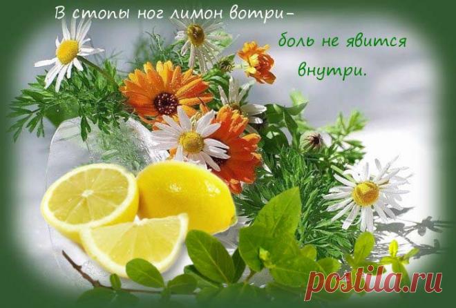 Воду пей перед едой – будешь долго молодой!
Коже рук вернёт былое сок чесночный и алоэ. Гепатиту гибель дарят корни ревеня в отваре. Чем старее мужичок, тем важней ему лучок! Вену видно изнутри – уксус яблочный вотри. Натощак зуб чеснока – сутки вирус в дураках. Мёд, лимоны и чеснок одышку пустят наутек. Съешь лимон и мед, и кашель отойдет. Мёд с морковью, облепихой […]
Читай дальше на сайте. Жми подробнее ➡