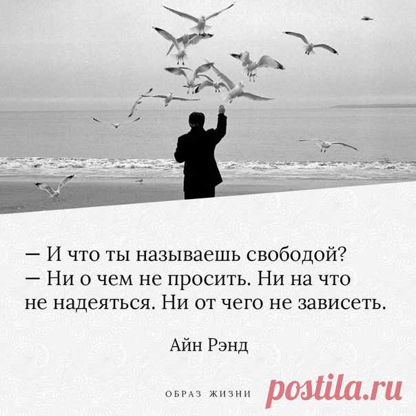 ОБРАЗ ЖИЗНИ|психология,отношения,общество|цитаты