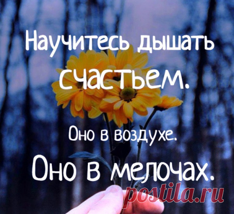 • *¨`* •. ¸ • *¨`* •.¸