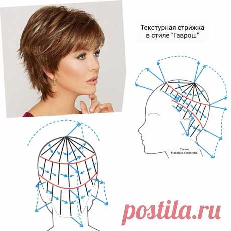 Схема стрижки Гаврош