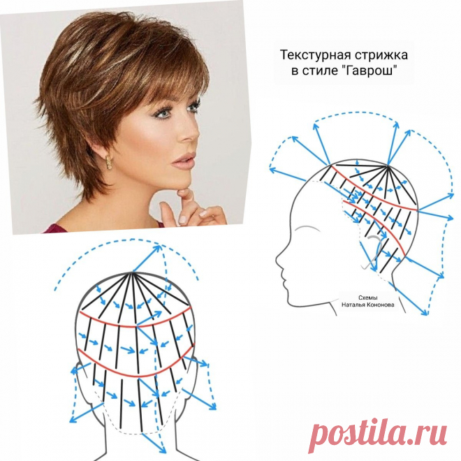 Схема стрижки Гаврош