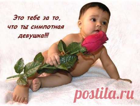 Яндекс.Фотки