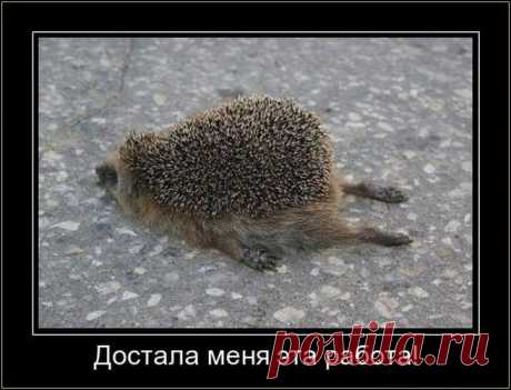 Пятничная смесь