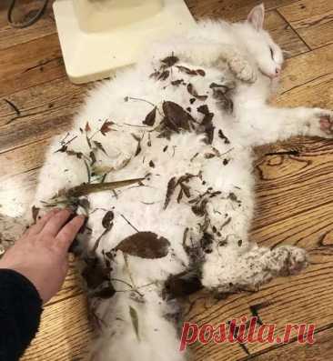 Когда произошел легкий сбой в системе