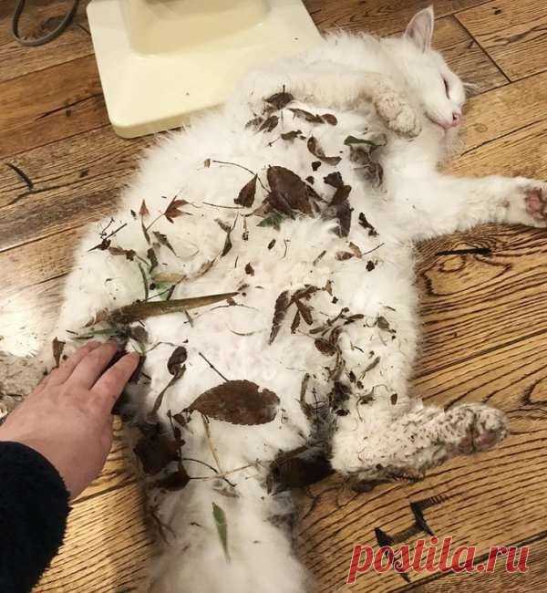 Когда произошел легкий сбой в системе
