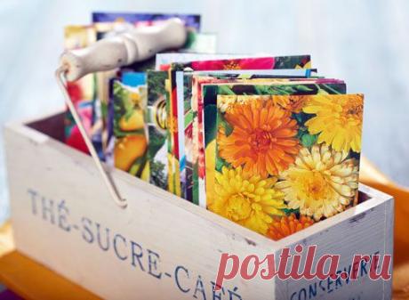 Посев летников в открытый грунт
Дневник Елена-надежда