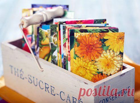 Посев летников в открытый грунт
Дневник Елена-надежда