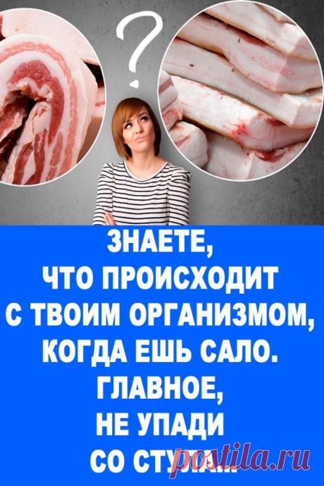 Знаете, что происходит с твоим организмом, когда ешь сало. Главное, не упади со стула… — Женские Советы