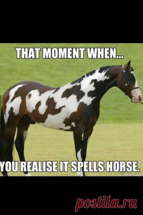That moment when... you realise it spells horse