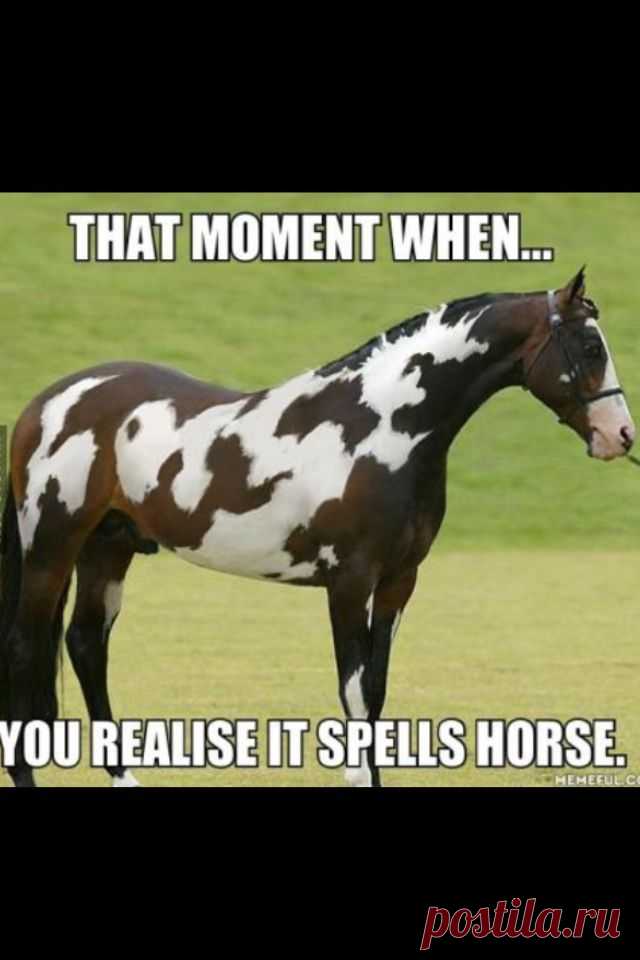 That moment when... you realise it spells horse