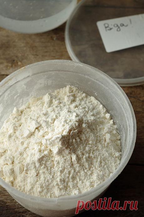 Biga на дрожжах и Biga на закваске