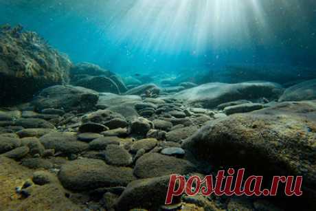 Россия создала придонный беспилотник. В ходе международного военно-технического форума «Армия-2021» концерн «Морское подводное оружие — Гидроприбор» представил автономный носитель гидрофизической аппаратуры переменной плавучести (АНГАПП), предназначенный, в частности, для исследования морского дна, сообщает ТАСС.