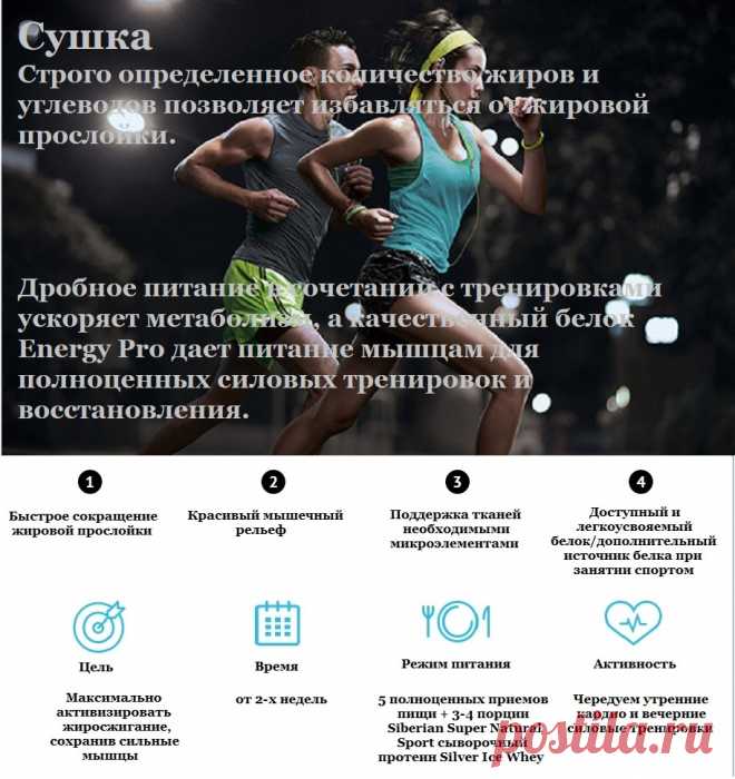Программа СУШКА