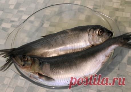 Как вкусно и правильно засолить селёдку