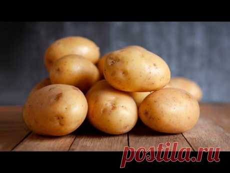 5 очень ВКУСНЫХ БЛЮД ИЗ КАРТОФЕЛЯ, когда мясо будет даже лишним. Рецепты от Всегда Вкусно!