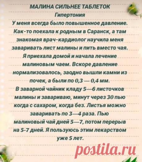 Малина сильнее таблеток