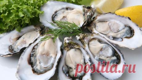 10 продуктов-афродизиаков, повышающих либидо :: Imenno.ru