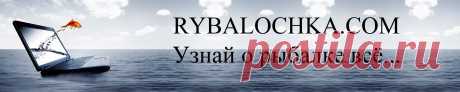 Эхолоты для рыбалки