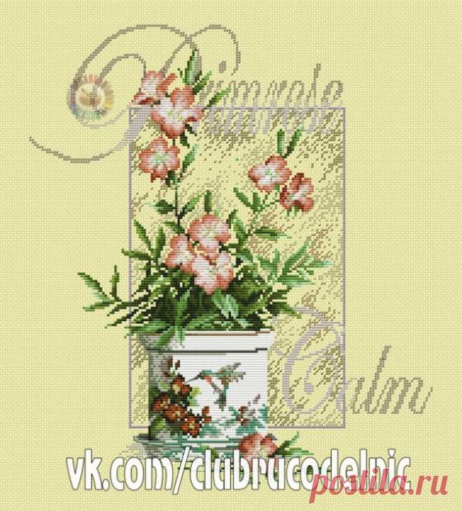 Gallery.ru / Фото #1 - plum rose calm - denise10