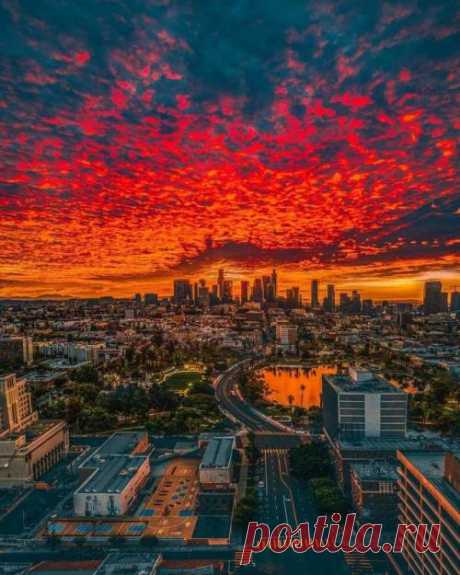 angelillo — Fiery vibes.